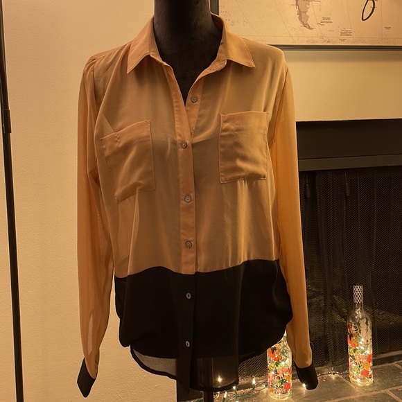 Sheer Blouse - Picture 2 of 13